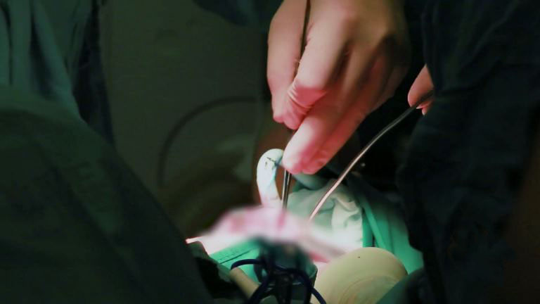 北京協(xié)和醫(yī)學(xué)院2020年研究生復(fù)試錄取工作方案（節(jié)選）