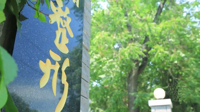 “陽康”之后怎么吃？