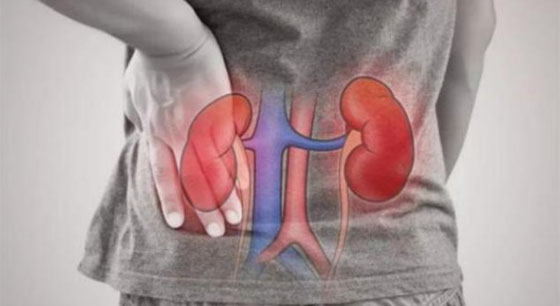別讓代謝性疾病悄悄傷了您的腎