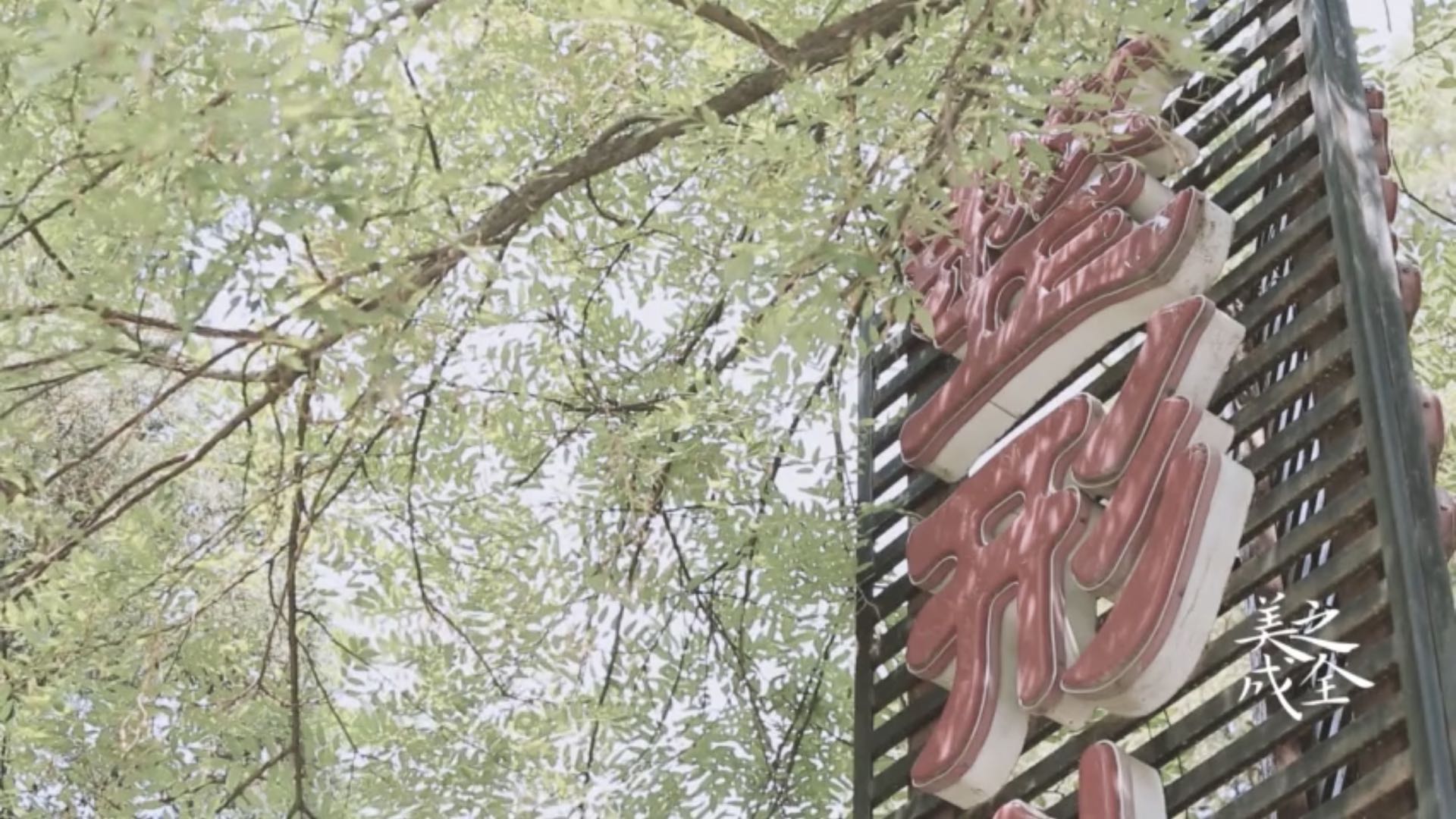 我院學(xué)習(xí)貫徹黨的二十屆三中全會(huì)精神