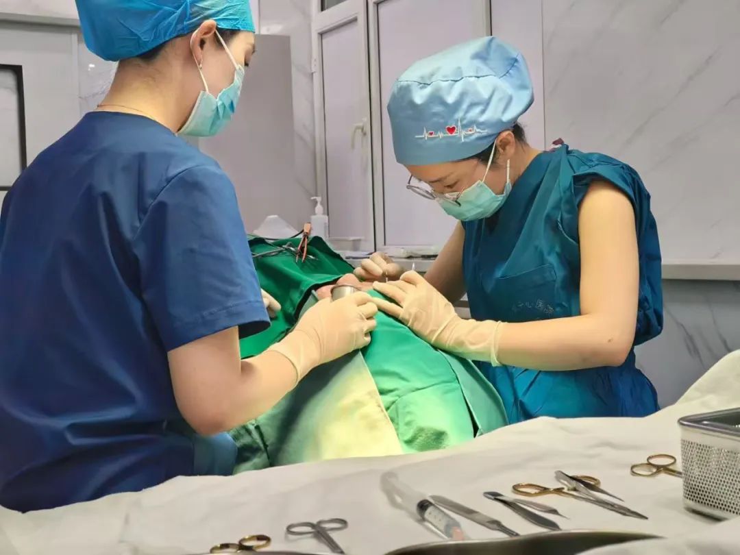 “整”行千里，大愛(ài)無(wú)疆 | 致敬醫(yī)者仁心，踐行使命擔(dān)當(dāng)